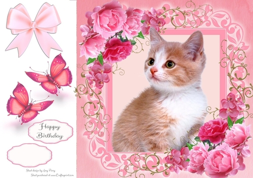 Gorgeous Ginger Kitten In Pink Roses 8x8