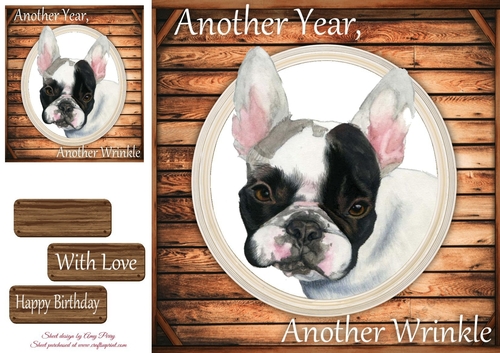 Another Wrinkle French Bulldog 8x8