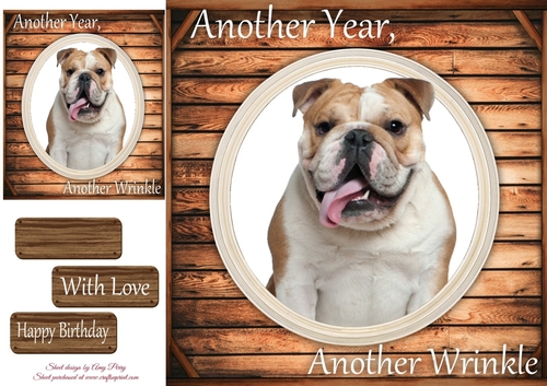 Another Wrinkle Bulldog 8x8
