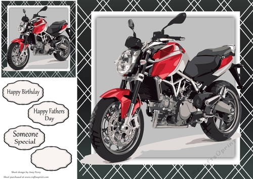 Red & Black Motorbike 8x8