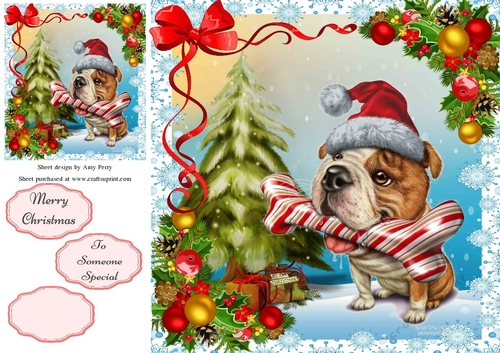 Gorgeous Festive Bulldog 8x8