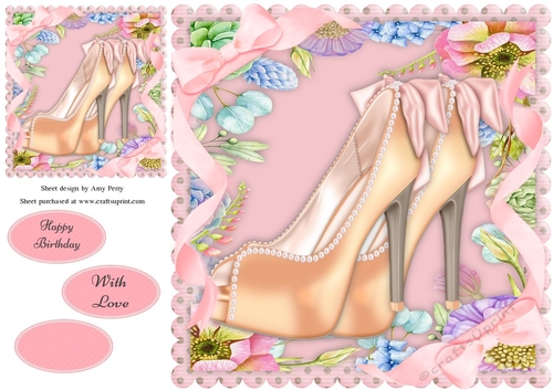Beautiful Ladies Shoes 8x8