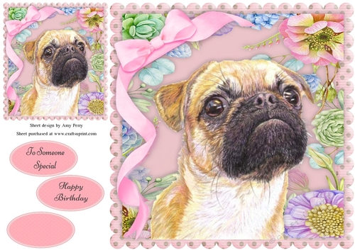 Gorgeous Painted Pug 8x8