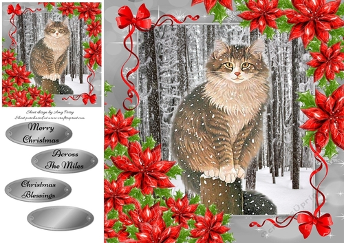 Gorgeous Grey Cat In The Snow 8x8