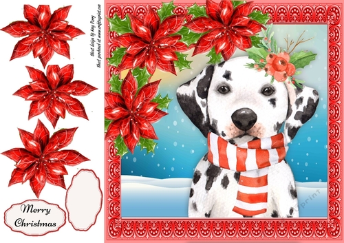 Gorgeous Dalmation With Red Poinsettias 8x8