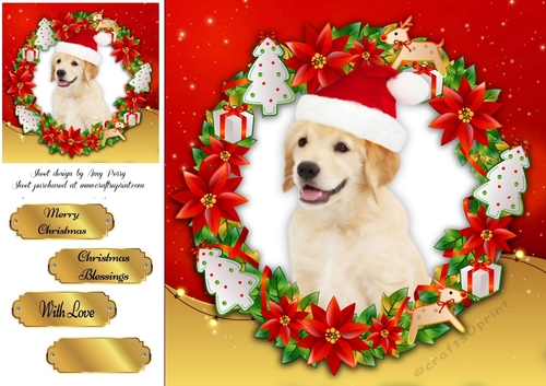 Gorgeous Labrador With Santa Hat 8x8