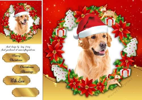 Gorgeous Golden Retriever With Santa Hat 8x8