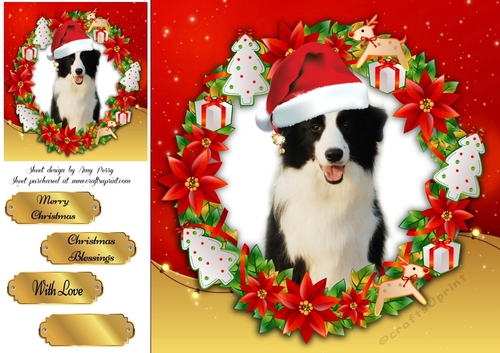 Gorgeous Border Collie With Santa Hat 8x8