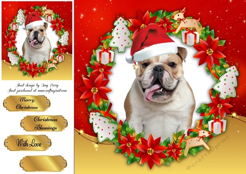 Gorgeous Bulldog With Santa Hat 8x8
