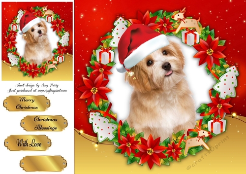 Gorgeous Fluffy Dog With Santa Hat 8x8