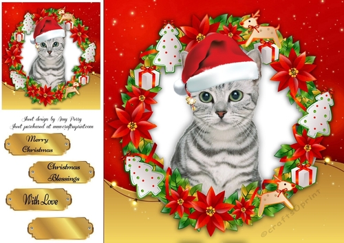 Gorgeous Grey Kitten In Santa Hat 8x8