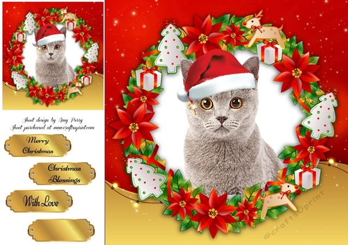 Gorgeous Grey Cat In Santa Hat 8x8