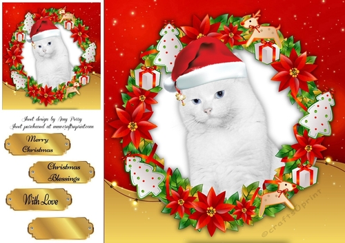 Gorgeous White Cat In Santa Hat 8x8