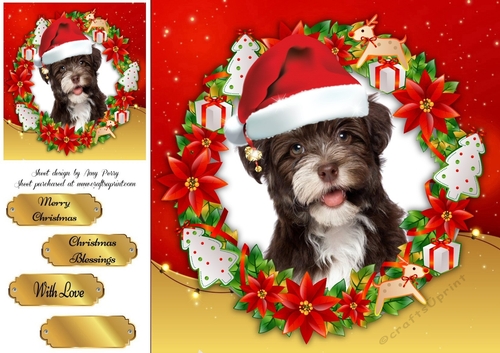 Gorgeous Brown Fluffy Dog In Santa Hat 8x8