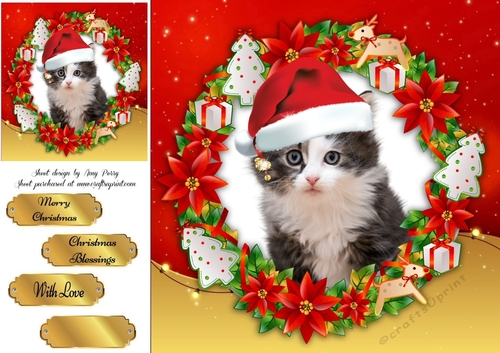 Gorgeous Gray And White Kitten In Santa Hat 8x8