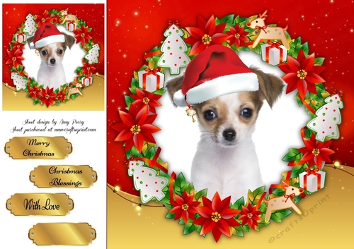 Gorgeous Chihuhua  In Santa Hat 8x8