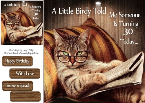 A Little Birdy Told Me Someones Turning 30 Today 8x8