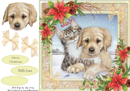 Gorgeous Cat & Dog 8x8