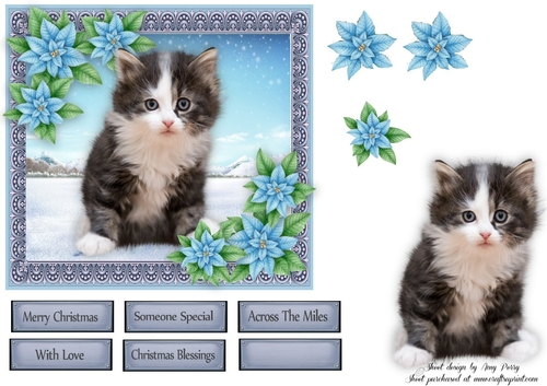 Gorgeous Kitten With Blue Flowers 6x6 