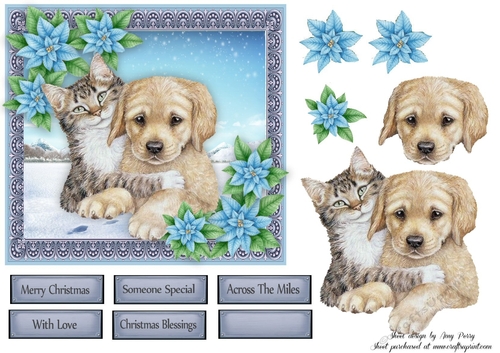 Gorgeous Cat & Dog With Blue Flowers 6x6 