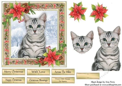 Gorgeous Grey Kitten Christmas 6x6
