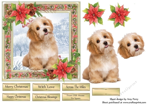 Gorgeous Fluffy Brown Dog Christmas 6x6