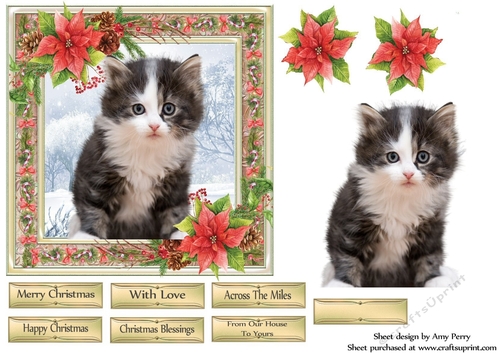 Gorgeous Grey & White Kitten Christmas 6x6