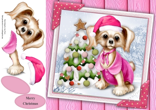 Gorgeous Dog With Pink Santa Hat 8x8