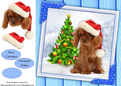 Gorgeous Cavalier In Santa Hat 8x8