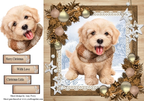 Gorgeous Brown Dog In Wooden Frame 8x8