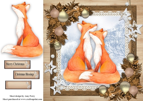 Gorgeous Foxes In Wooden Frame 8x8