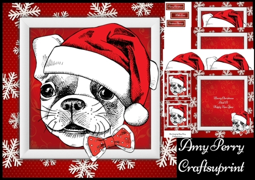 Gorgeous White French Bull Dog  8x8 Mini Kit