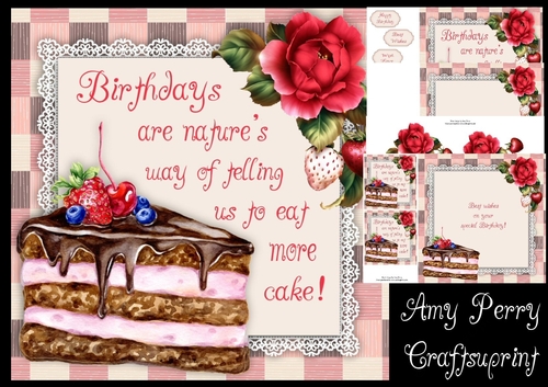 Birthday Cake Humor  8x8 Mini Kit