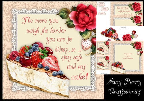 Birthday Cake Humor 2 8x8 Mini Kit