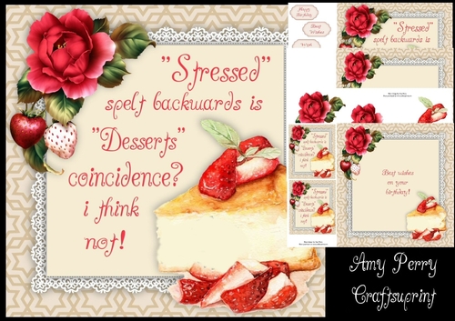 Birthday Cake Humor 3 8x8 Mini Kit