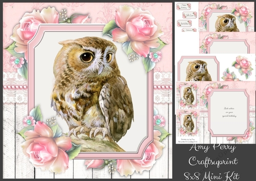 Beautiful Brown Owl  With Pink Roses 8x8 Mini Kit