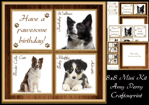 Gorgeous Border Collie Cubes 8x8 Mini Kit