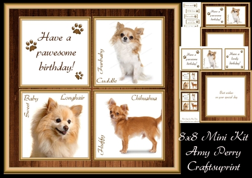 Gorgeous Long haired Chihuahua  Cubes 8x8 Mini Kit