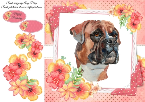 Adorable Boxer With Corner Flowers 8x8