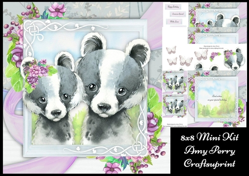 Beautiful Pair Of Badgers 8x8 Mini Kit