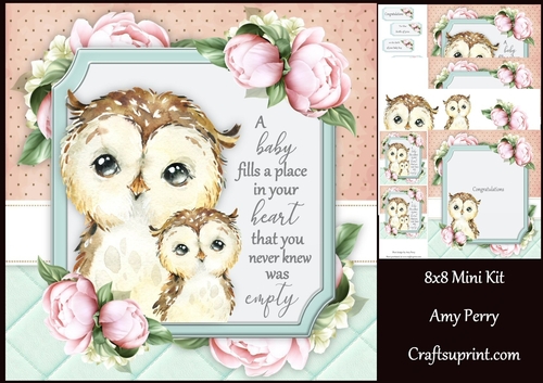 A baby fills a place in your heart ....... Owl 8x8 Mini Kit