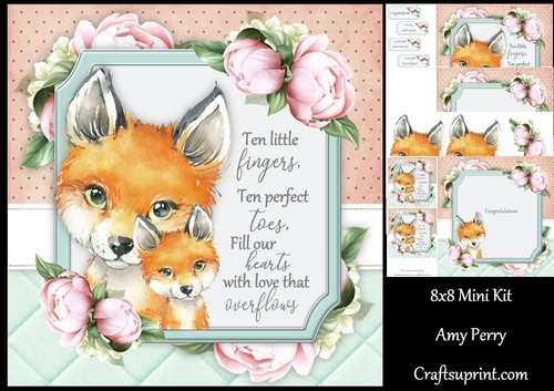 Ten little fingers ........ Fox 8x8 Mini Kit