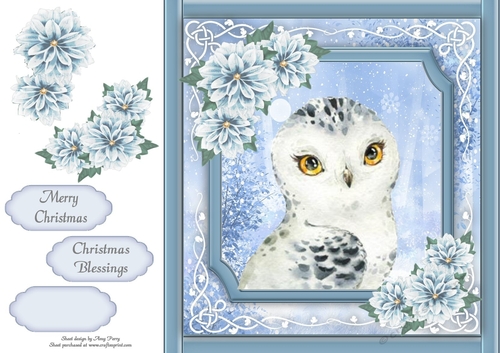 Gorgeous White Owl With Blue Festive Flowers 8x8 