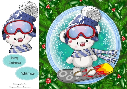 Gorgeous White Bear On A Snowboard In Holly Frame 8x8