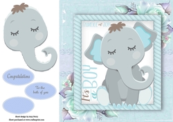 Gorgeous Elephant Boy 8x8