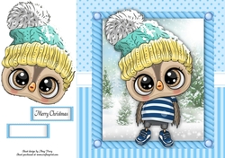 Festive Owl With Cream Bobble Hat 8x8