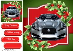 Festive Grey Sports Car 8x8