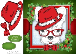 Red & White French Bulldog 8x8
