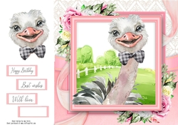 Cute Grey Ostrich 8x8