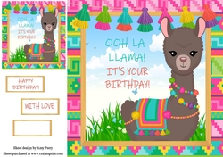 Ooh La llama! Its your birthday! Llama fun 8x8